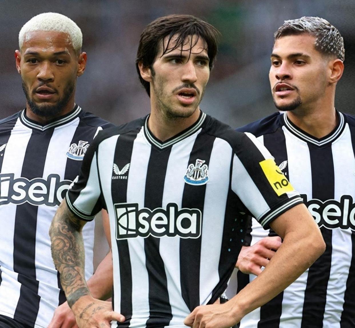 欧篮联赛程吃紧,纽卡斯尔窗口期战术微调,赛场秩序良好,临场指挥获称赞 欧篮联赛程吃紧,纽卡斯尔窗口期战术微调,赛场秩序良好,临场指挥获称赞